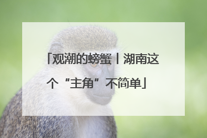 观潮的螃蟹丨湖南这个“主角”不简单