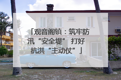 观音阁镇：筑牢防汛“安全堤” 打好抗洪“主动仗”