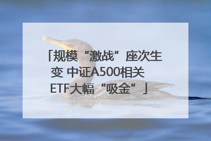 规模“激战”座次生变 中证A500相关ETF大幅“吸金”