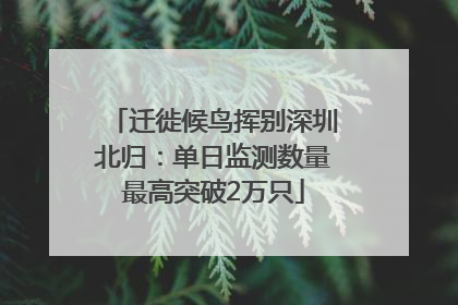 迁徙候鸟挥别深圳北归：单日监测数量最高突破2万只