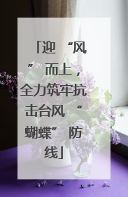 迎 “风” 而上，全力筑牢抗击台风 “蝴蝶” 防线