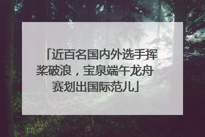 近百名国内外选手挥桨破浪，宝泉端午龙舟赛划出国际范儿