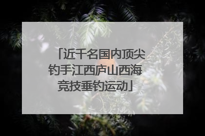 近千名国内顶尖钓手江西庐山西海竞技垂钓运动