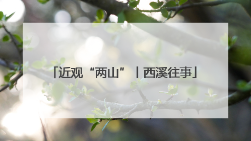 近观“两山”丨西溪往事