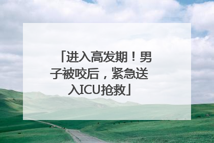 进入高发期！男子被咬后，紧急送入ICU抢救
