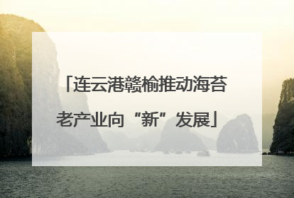 连云港赣榆推动海苔老产业向“新”发展
