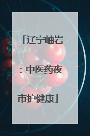 辽宁岫岩：中医药夜市护健康