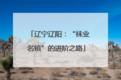 辽宁辽阳：“袜业名镇”的进阶之路