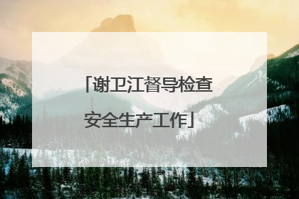 谢卫江督导检查安全生产工作