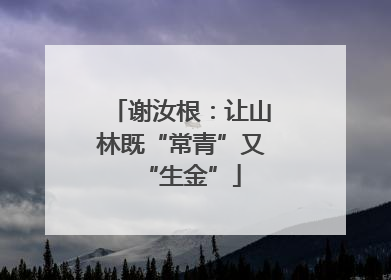 谢汝根：让山林既“常青”又“生金”