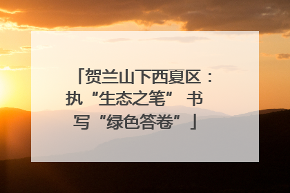 贺兰山下西夏区：执“生态之笔” 书写“绿色答卷”