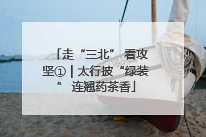 走“三北” 看攻坚①｜太行披“绿装” 连翘药茶香