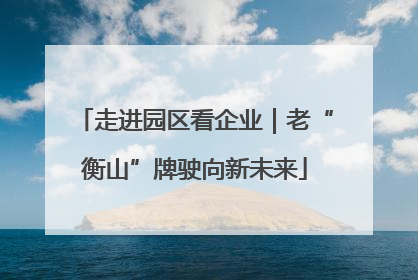 走进园区看企业｜老“衡山”牌驶向新未来