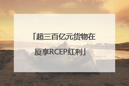 超三百亿元货物在厦享RCEP红利