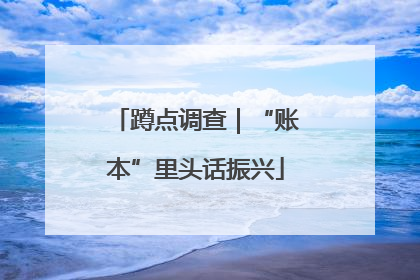 蹲点调查｜“账本”里头话振兴