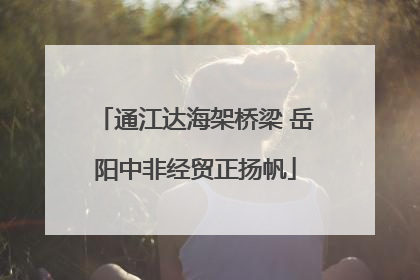 通江达海架桥梁 岳阳中非经贸正扬帆