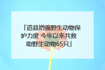 道县增强野生动物保护力度 今年以来共救助野生动物65只