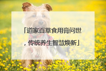 道家百草食用膏问世，传统养生智慧焕新