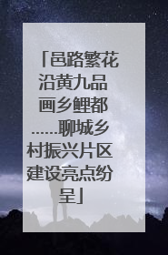 邑路繁花 沿黄九品 画乡鲤都……聊城乡村振兴片区建设亮点纷呈