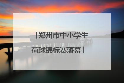 郑州市中小学生荷球锦标赛落幕