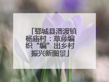 郓城县潘渡镇杨庙村：草藤编织“编”出乡村振兴新图景