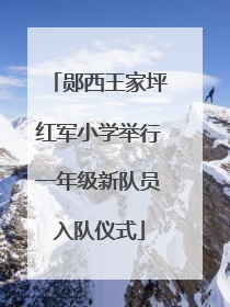 郧西王家坪红军小学举行一年级新队员入队仪式