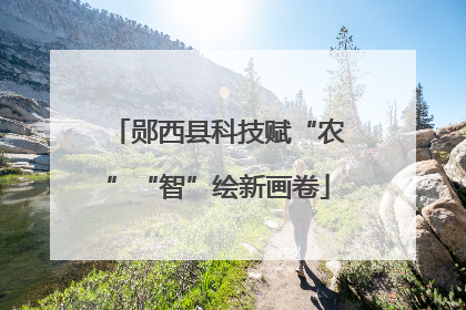 郧西县科技赋“农”“智”绘新画卷