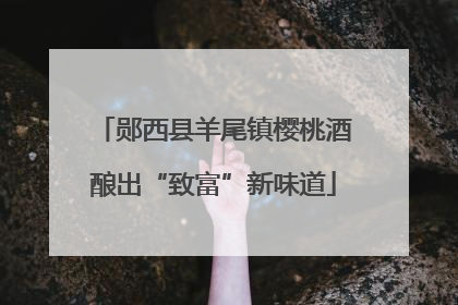 郧西县羊尾镇樱桃酒酿出“致富”新味道