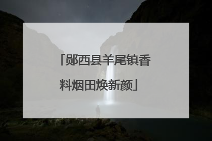 郧西县羊尾镇香料烟田焕新颜