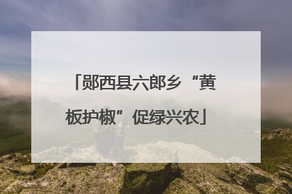 郧西县六郎乡“黄板护椒”促绿兴农