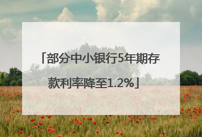 部分中小银行5年期存款利率降至1.2%