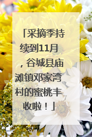 采摘季持续到11月，谷城县庙滩镇邓家湾村的蜜桃丰收啦！