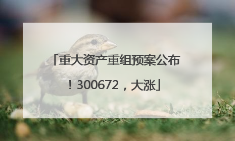 重大资产重组预案公布！300672，大涨