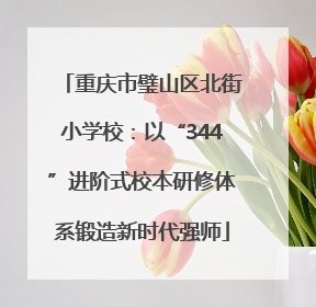 重庆市璧山区北街小学校：以“344”进阶式校本研修体系锻造新时代强师