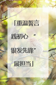 重温誓言践初心 “银发先锋”展担当