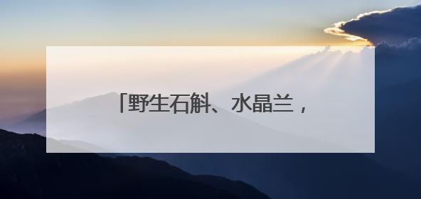 野生石斛、水晶兰，云南这个自然保护区发现2种珍稀野生植物