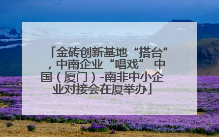 金砖创新基地“搭台”，中南企业“唱戏” 中国（厦门）-南非中小企业对接会在厦举办
