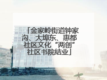 金家岭街道钟家沟、大埠东、惠都社区文化“两创”社区书院结业