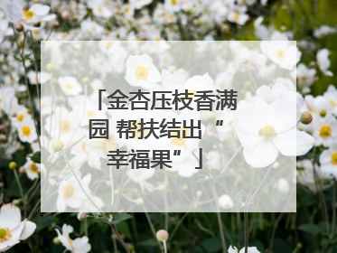 金杏压枝香满园 帮扶结出“幸福果”
