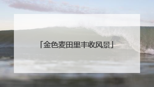 金色麦田里丰收风景