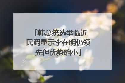 韩总统选举临近 民调显示李在明仍领先但优势缩小