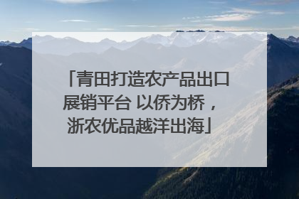青田打造农产品出口展销平台 以侨为桥，浙农优品越洋出海
