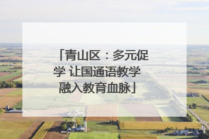 青山区：多元促学 让国通语教学融入教育血脉