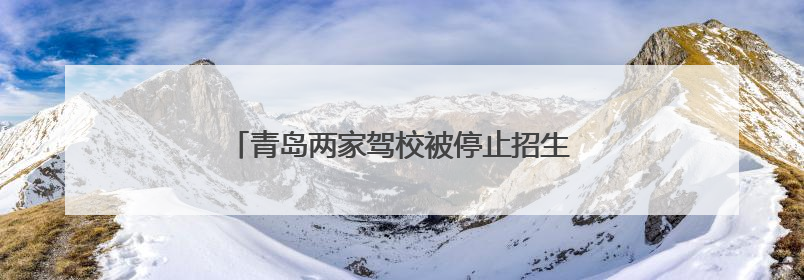 青岛两家驾校被停止招生 市民学车请擦亮眼睛