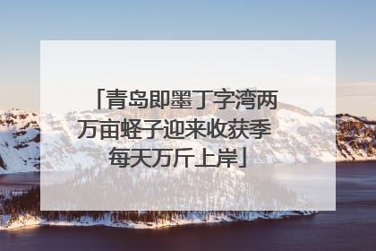 青岛即墨丁字湾两万亩蛏子迎来收获季 每天万斤上岸