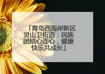 青岛西海岸新区灵山卫街道：民族团结心连心，健康快乐共成长