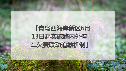 青岛西海岸新区6月13日起实施路内外停车欠费联动追缴机制