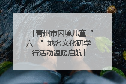 青州市困境儿童“六一”地名文化研学行活动温暖启航