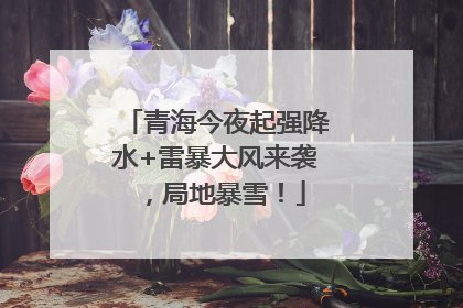 青海今夜起强降水+雷暴大风来袭，局地暴雪！