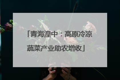青海湟中：高原冷凉蔬菜产业助农增收